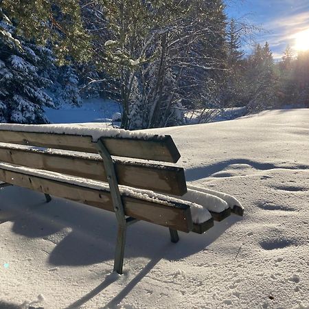 Green Mountain Retreat فليس المظهر الخارجي الصورة